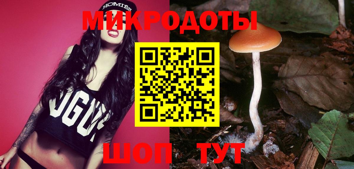 Псилоцибиновые грибы прущие грибы Урус-Мартан