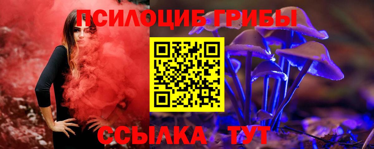 Урус-Мартан  Галлюциногенные грибы прущие грибы  купить наркотик  Вход с VPN 